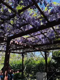 Friendship Garden in San Diego, California